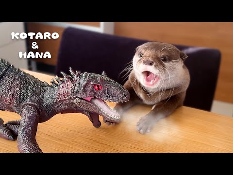 リアルすぎる恐竜の咆哮にフリーズするカワウソ　Otters React to Realistic Dinosaur Spraying Mist(YouTube)