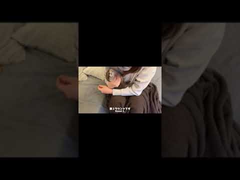 ついにかくれんぼができた結果、見失いソワソワし始めたカワウソ Otter who could play hide-and-seek #shorts(YouTube)