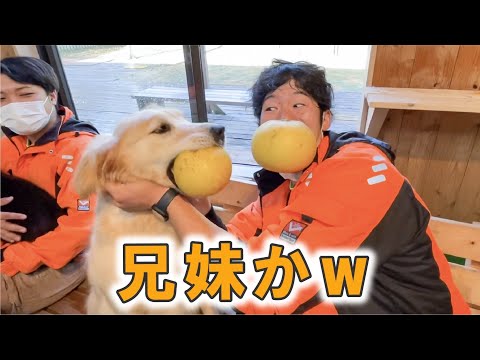 兄妹！？ってくらい深い仲の二匹w(YouTube)