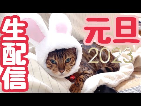 【元旦生配信2023】明けましておめでとうございます生配信🎍🐰(YouTube)