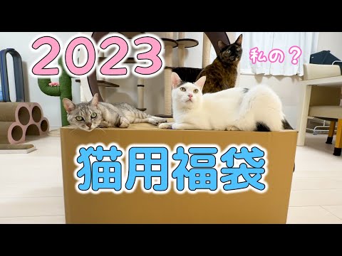 2023年！14000円の猫用福袋を開封します！！(YouTube)