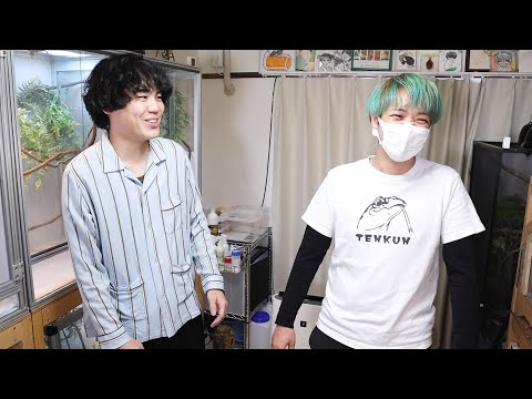 カメレオン芸人のお宅に訪問したら楽しすぎて飼いたい生き物が増えまくった(YouTube)
