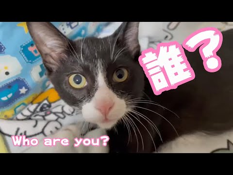 誰？ Who are you？(YouTube)