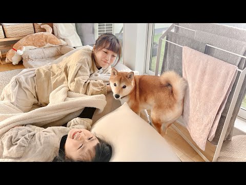 お正月休み！2023年もりんご郎一家をよろしくだワン！(YouTube)