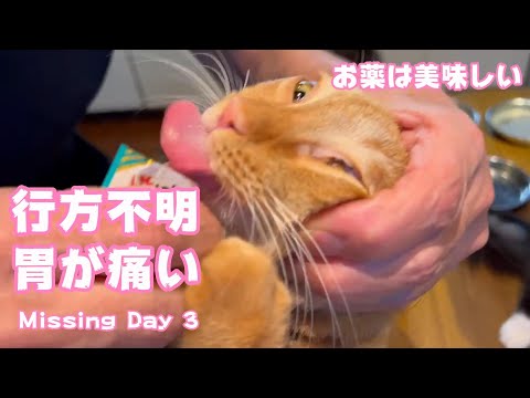 行方不明3日目　胃が痛いですwww Missng Day 3(YouTube)