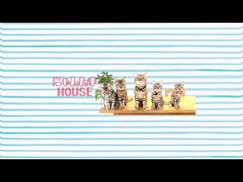 【生配信1/22】生配信のアプリ仕様が変わったのでエラー出たらすみません🙏(YouTube)
