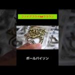 ファイアフライhetクラウン【ボールパイソン】(YouTube)