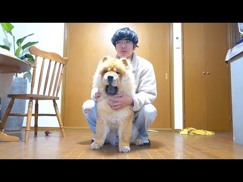 【重大発表！】●●が●●する●●●●●●●で●●●●します！！！！！(YouTube)