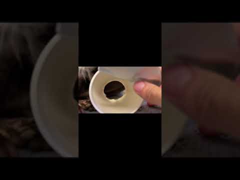 カワウソさくら カップラーメン食べたらカワウソだった When I eat cup ramen, it was an otter #shorts(YouTube)