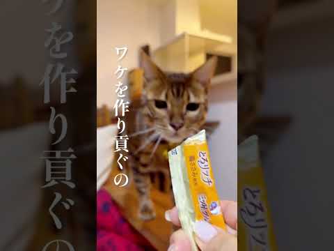 ニコに♡射抜かれた💘 #shorts(YouTube)