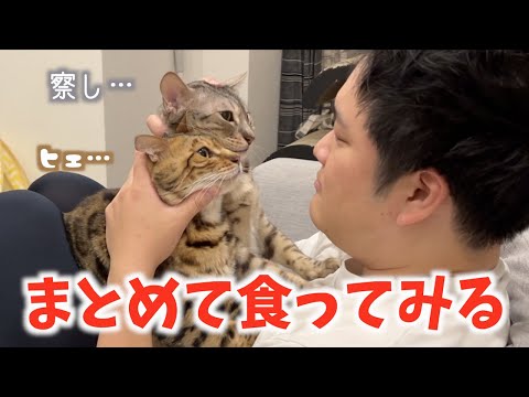 ネコ２匹を同時に食べるとこうなる(YouTube)
