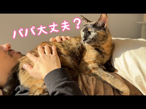 体調の悪いパパを看病してくれる優しいサビ猫モモちゃん(YouTube)