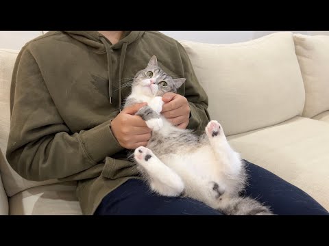 初めて猫と弟の2人っきりでお留守番してもらったらまさかのこうなってました…笑(YouTube)