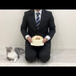 いつもお世話になってる199万人の皆様へ(YouTube)