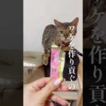 リンに♡射抜かれた💘 #shorts(YouTube)