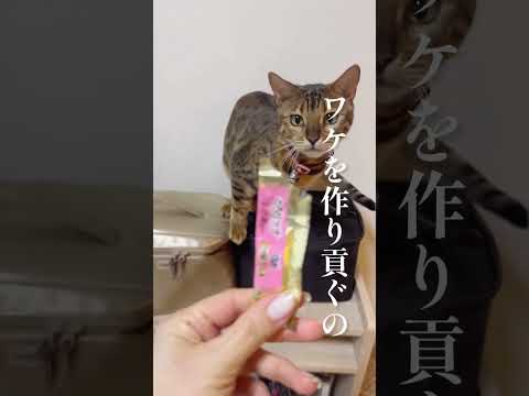 リンに♡射抜かれた💘 #shorts(YouTube)
