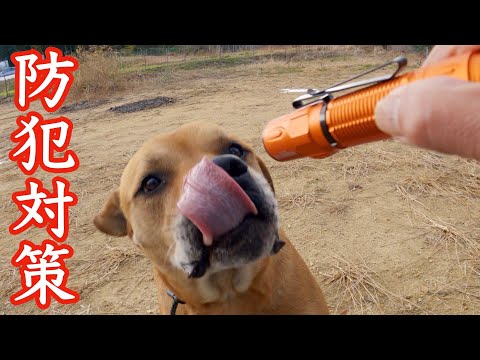 防獣・防犯対策に警備用ライト購入しました　リードで出来る護身(YouTube)
