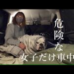 白い顔したオジサンと、いつも同じ服着たイケメン二人に追われながら愛犬と車中泊しました…(YouTube)