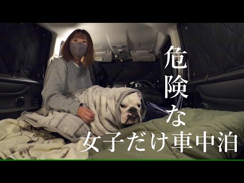 白い顔したオジサンと、いつも同じ服着たイケメン二人に追われながら愛犬と車中泊しました…(YouTube)