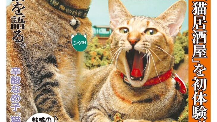 新海誠監督がネコを語る＆吉田類がネコ居酒屋を初探訪！猫まみれのタブロイド紙『日刊ニャンダイ』2023年版が登場(ブログ)