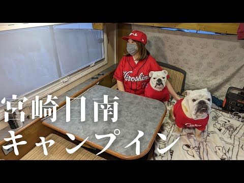 突然ですが、広島カープの日南キャンプに愛犬と参加します！【車中泊】(YouTube)