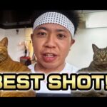 【猫動画】BESTSHOT!!〜にゃんともパレード〜#猫動画#猫#254(YouTube)