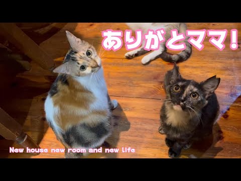 ありがとママ 楽しかったよ！ New house new room and newlife(YouTube)