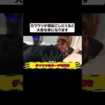 カワウソに起こされると…#shorts(YouTube)