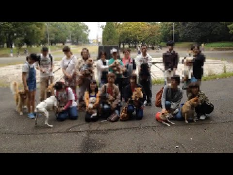 【パックウォーク】初めてのイベント(YouTube)