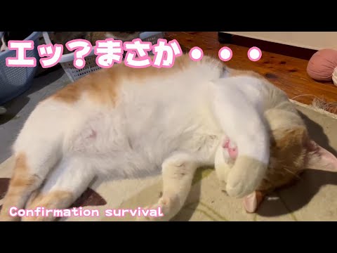 エッ？まさかの生存確認 Confirmation survival(YouTube)