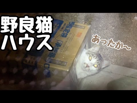 手作り野良猫ハウスでぬくぬく暖まってくれて感動です(YouTube)