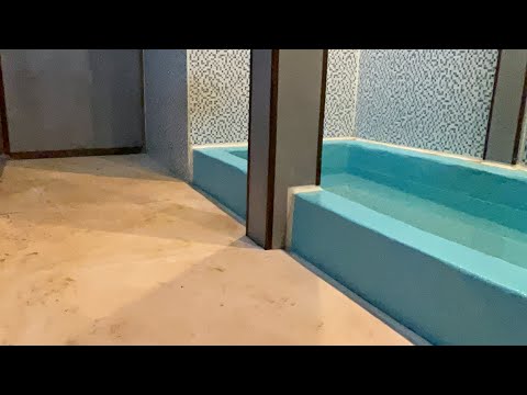 ペンギンのタンクの日常(YouTube)