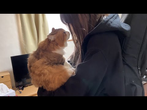 ゆずぽんの里親さんをおもてなしする猫(YouTube)