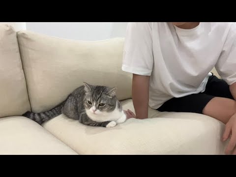帰るのが遅れたら機嫌を損ねちゃった猫に一日中無視されました…(YouTube)