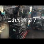 悪質繁殖屋 甲斐犬レスキューウェルカムLive予告　2月17日22時配信(YouTube)