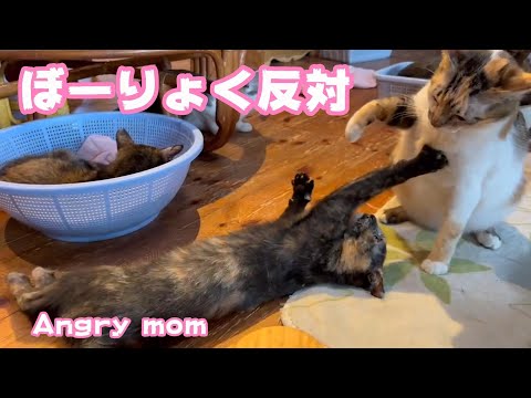 ぼーりょく反対 節分で鬼になったママ　Angry mom(YouTube)