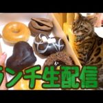 【ランチ生配信2/15】バレンタインでGETしたチョコを食べながら猫でも見ませんか生配信(YouTube)