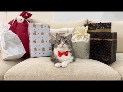 重大発表がございます！(YouTube)