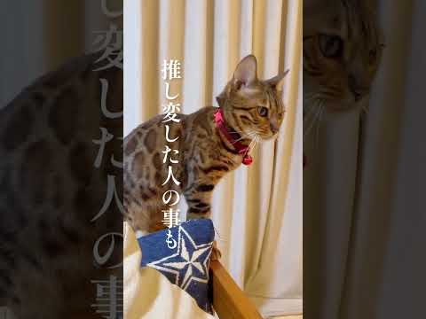 推し変は許さないベル様 #shorts(YouTube)