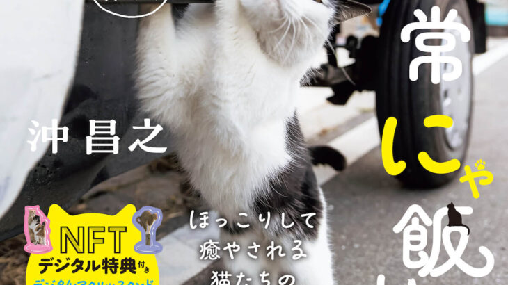 NFTデジタル特典で猫のおもしろショットも撮影できる！ねこ写真家・沖昌之さんの新作写真集『日常にゃ飯事』(ブログ)