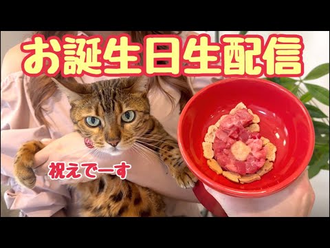 【お誕生日生配信🎂】ベル6歳のお祝いをしてやってくれませんか？生配信(YouTube)