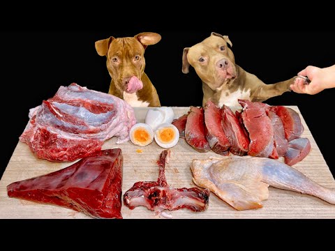 骨付き肉を食べるピットブルの咀嚼音がクセになる【ASMR】(YouTube)