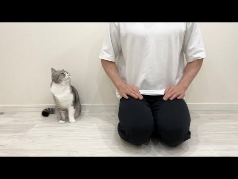【ご報告】家族が増えます。(YouTube)