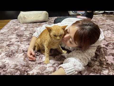 ライフの事(YouTube)