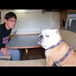 漢ふたり旅に、飽き飽きした愛犬がフルシカト始めました…(YouTube)
