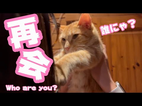 感動の再会？誰にゃ？ Who are you?(YouTube)