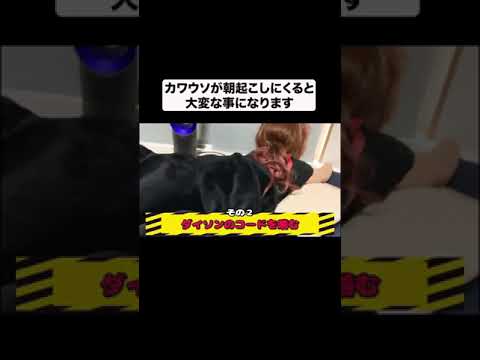 大変なことになります#shorts(YouTube)