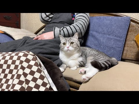 初めて対面したばあばと猫が仲良くなりすぎてこうなってました笑(YouTube)
