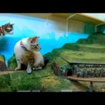 【ジオラマ食堂】鉄道模型を追いかける猫をみんなで見物する大阪の猫カフェが楽し過ぎる(YouTube)