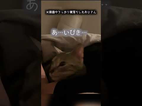 逃げ出したい猫とガチ寝しても逃がさない飼い主　#shorts(YouTube)